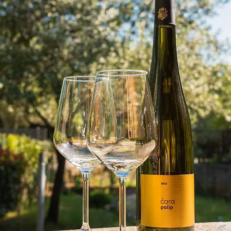 House Retina * Пинезичи